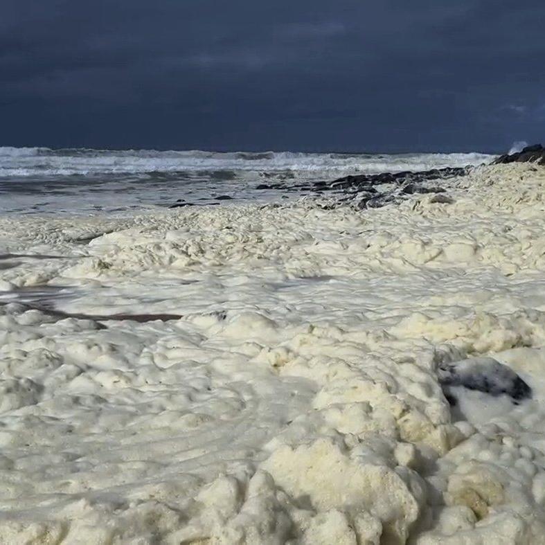 Strange foam and dead fish wash ashore at 2 Australian beaches as surfers fall sick